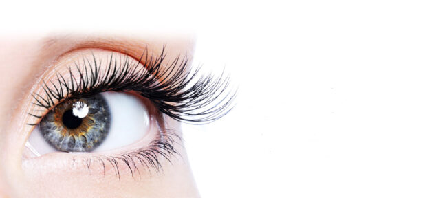 banner-eyelashes